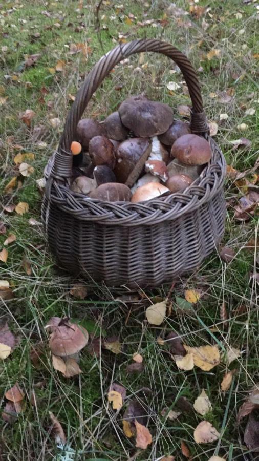 Pokoje Przy Warszawskiej Połczyn-Zdrój Extérieur photo